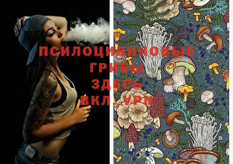 Псилоцибиновые грибы Magic Shrooms  Берёзовский 